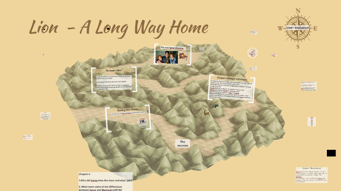 lion a long way home quotes