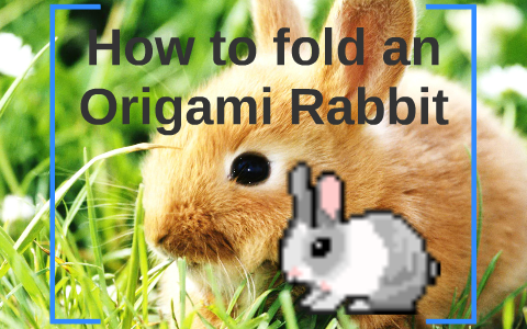 How to fold an Origami Rabbit by Matthew Tu on Prezi