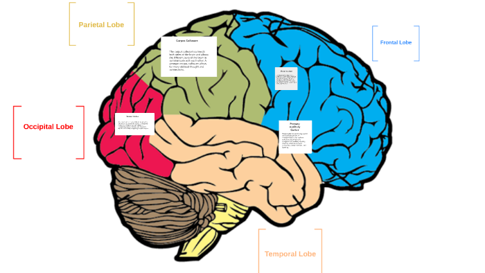 music-on-the-brain-embracia-health-psychiatry-and-addiction