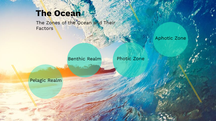 The Ocean by Matthew Saporito on Prezi