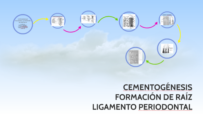 CEMENTOGÉNESIS By Fernanda Mena On Prezi