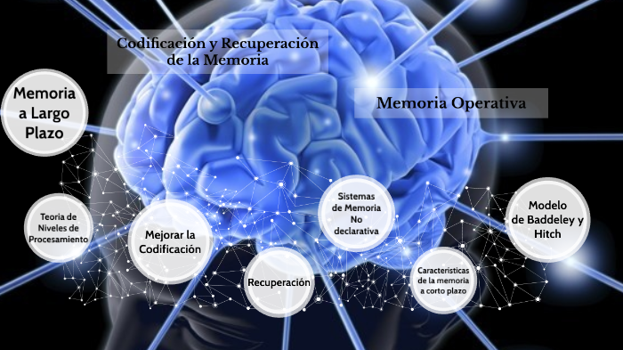 Que Es La Codificacion En La Memoria prezi.com