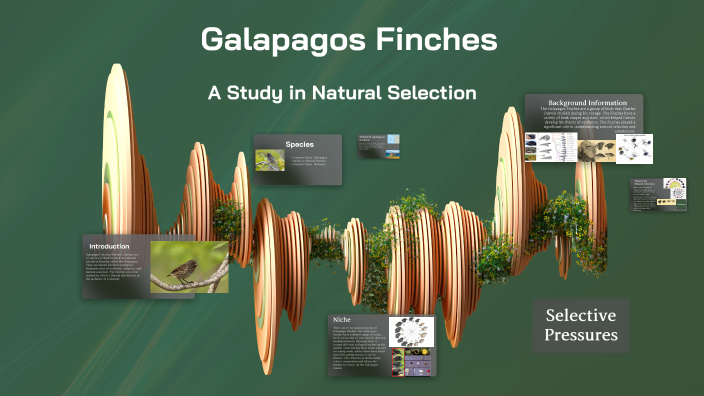 Galapagos Finches by Lindsay Lorenzo on Prezi