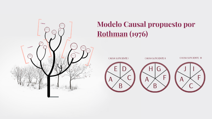 Modelo Causal propuesto por Rothman by Gianfranco Baglietto Alva on Prezi  Next