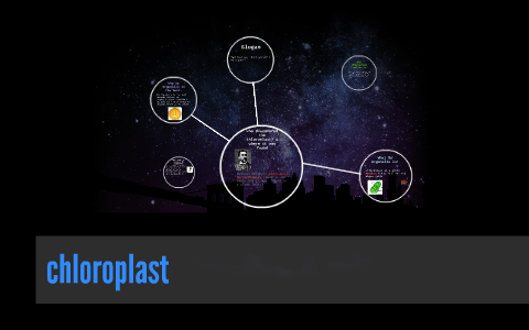 chloroplast by Prezi User on Prezi