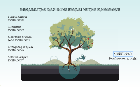 REHABILITAS DAN KONSERVASI HUTAN MANGROVE by adhitia prayudha on Prezi