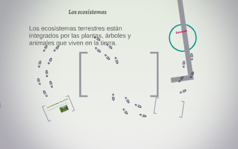 Los ecosistemas by Marta Mendoza on Prezi