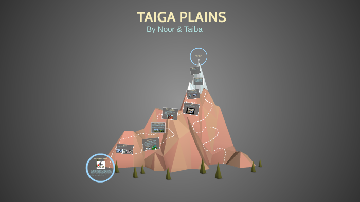 TAIGA PLAINS by noor taiba on Prezi