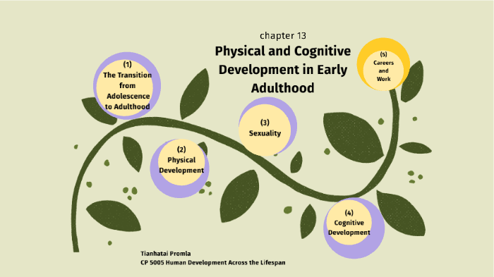 Physical And Cognitive Development In Early Adulthood By Tian Promla On ...