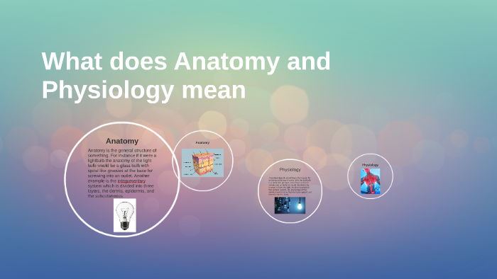 what-does-anatomy-and-physiology-mean-by-tanner-blizzard