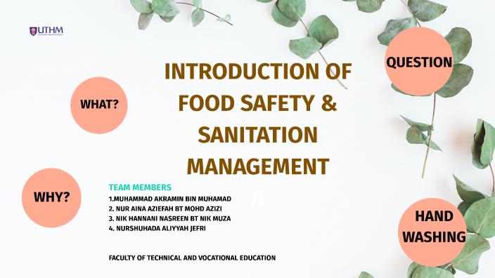 essay about food safety and sanitation