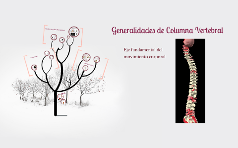 Columna Vertebral. Generalidades 