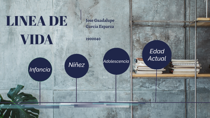 Linea de Vida by JOSE GARCIA on Prezi