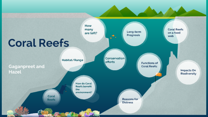 Coral Reefs; An Endangered Species by Gaganpreet Uppal on Prezi