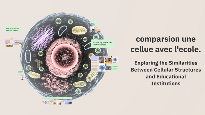 Comparing Cells with a School by Evelyn Wernham on Prezi