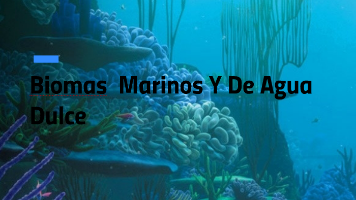BIOMAS MARINOS Y DE AGUA DULCE by Lucia Moráz on Prezi