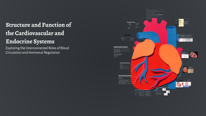 Structure and Function of the Cardiovascular and Endocrine Systems by ...