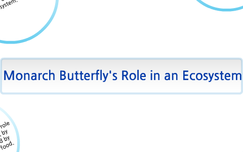 Monarch Butterfly's Role in an Ecosystem by Rachel Burt on Prezi