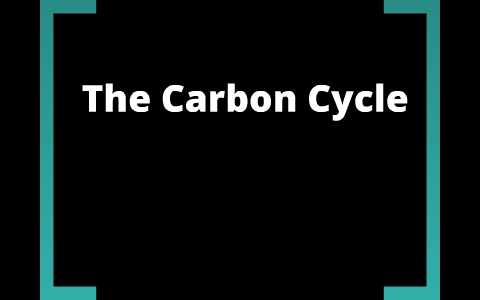 The Carbon Cycle by Stephanie Boudreau on Prezi