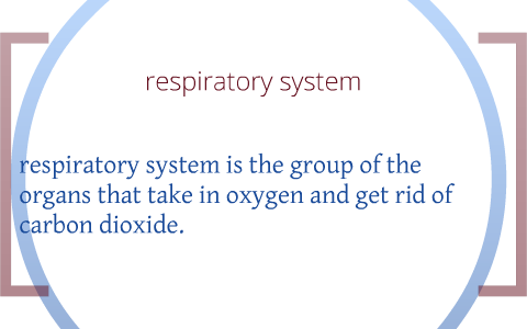 comparing body systems by kamid moody