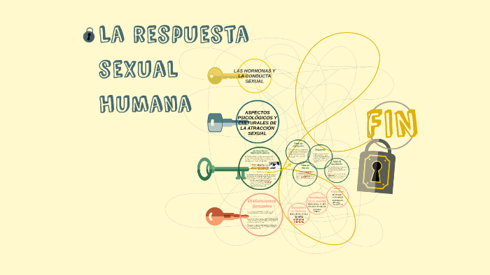 La respuesta sexual humana by PAZ SERRANO on Prezi