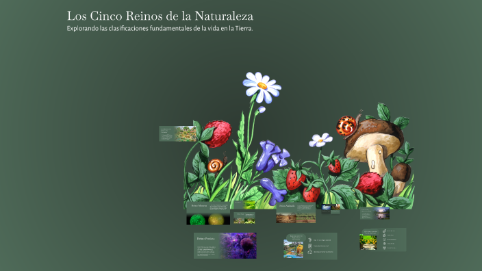Los Cinco Reinos de la Naturaleza by Norida Forero on Prezi