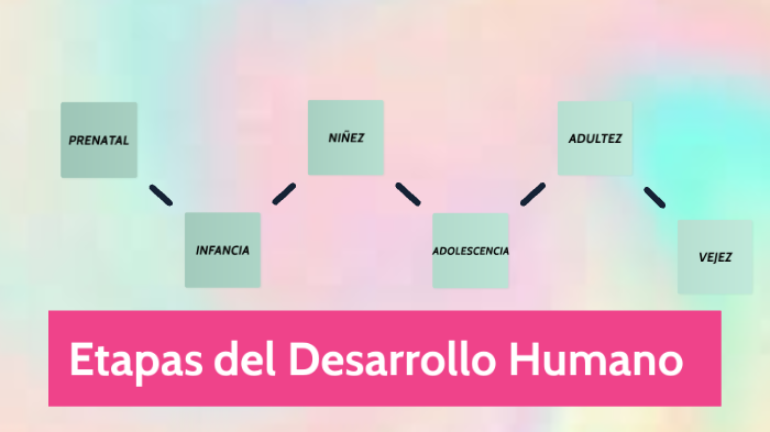 Etapas del Desarrollo Humano by Fathyma Rojas Salazar on Prezi
