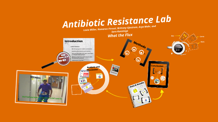 Biology 481: Antibiotic Resistance Lab By Arya Mehr On Prezi