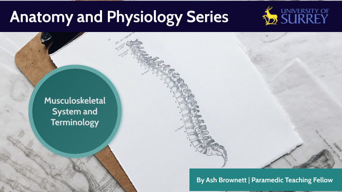 Musculoskeletal System and Terminology by Ash Brownett on Prezi