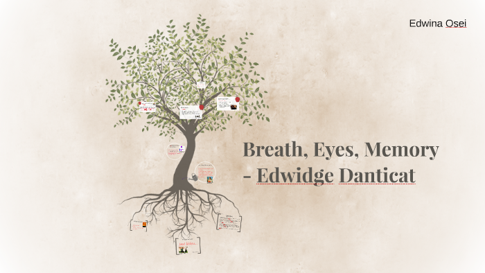 breath eyes memory by edwidge danticat summary