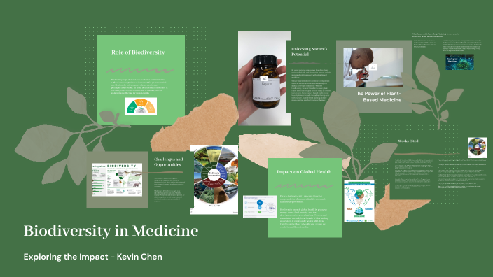 Biodiversity in Medicine by Kevin Chen on Prezi