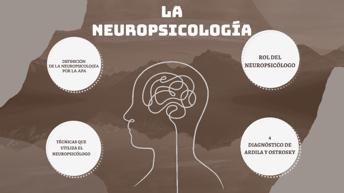 LA NEUROPSICOLOGÍA by abigail Abisrror Yauri on Prezi