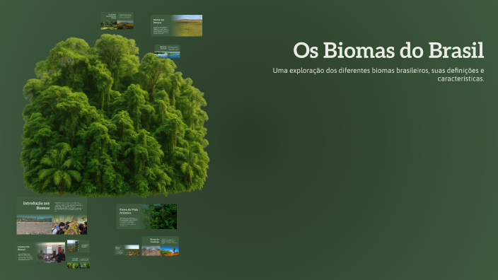Os Biomas do Brasil by Regina Carneiro da Silva on Prezi