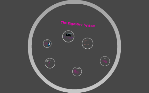 The Digestive System by on Prezi
