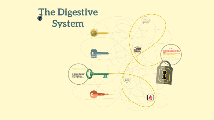 The Digestive System by Group Prezi Oh Yes on Prezi