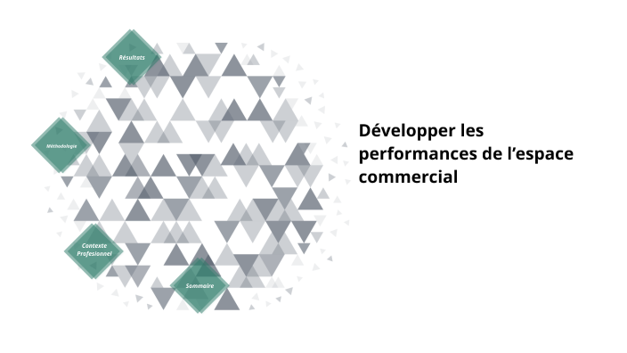 Développer Les Performances De L'espace Commercial