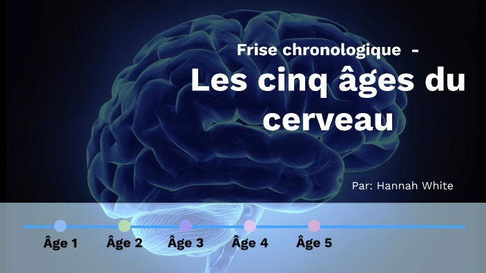 Les cinq âges du cerveau humain by Hannah White on Prezi
