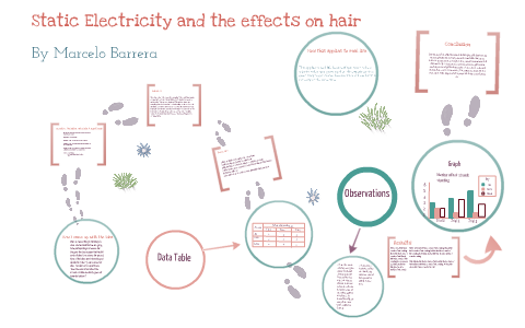 Science Fair Experiment By Marcelo Barrera On Prezi