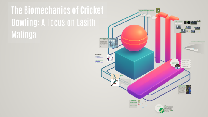 The Biomechanics of Cricket Bowling: A Focus on Lasith Malinga by ...