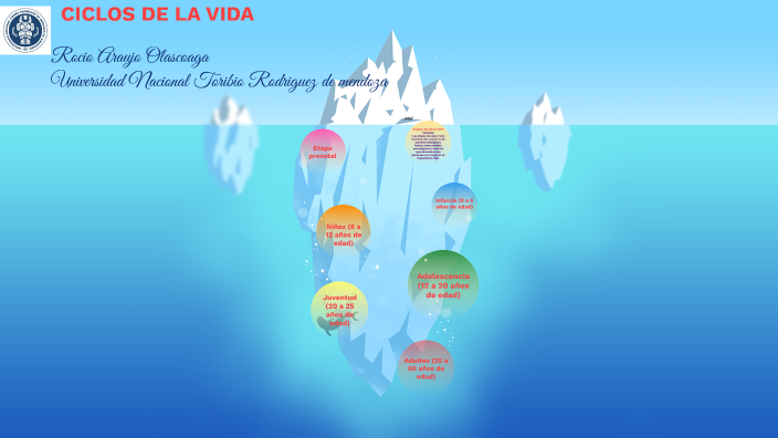 LAS ETAPAS DE LA VIDA by ROCIO ARAUJO OLASCOAGA on Prezi