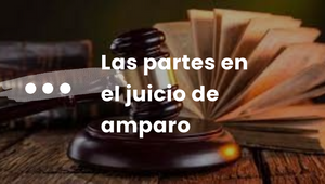 LAS PARTES EN EL JUICIO DE AMPARO by MARIA TERESA LARA LOPEZ on Prezi ...