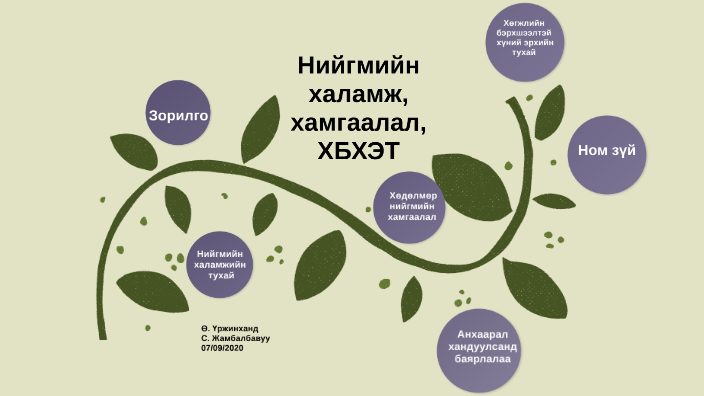 Нийгмийн халамж хамгаалал by Үржинханд Өлзийбаяр on Prezi