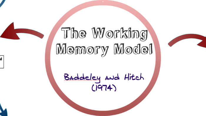 Working Memory Model by Sarah C on Prezi