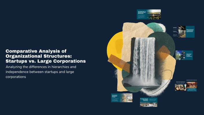Comparative Analysis of Organizational Structures: Startups vs. Large ...