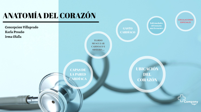 anatomia del corZON by Concepcion Villaprado on Prezi
