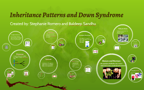 Inheritance Patterns and Down Syndrome by Stephanie Romero on Prezi