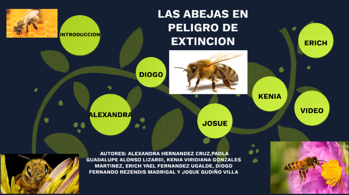 LA EXTINCIÓN DE LAS ABEJAS online exercise for