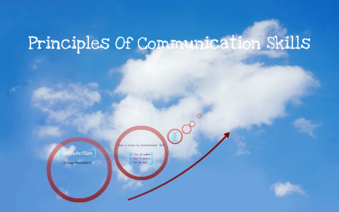 explain the basic principles of professional communication skills
