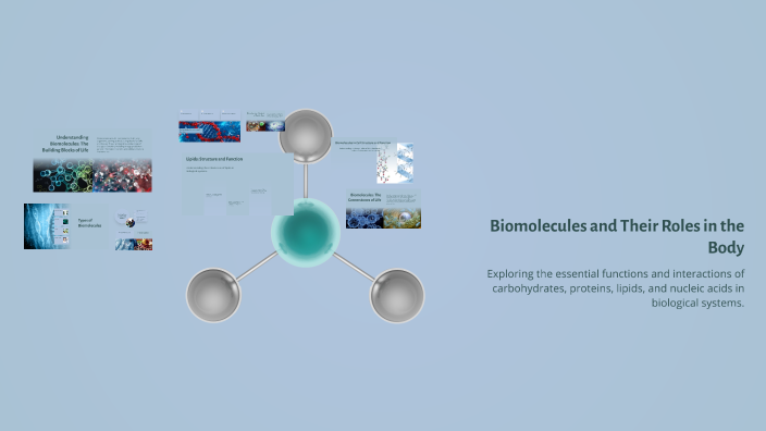 Biomolecules and Their Roles in the Body by Dennis Daniel Clemente on Prezi