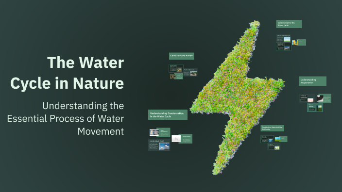 The Water Cycle in Nature by Șovar Marinela on Prezi